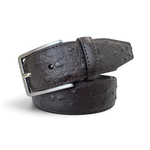A dark brown ostrich leather belt with a silver-tone metal buckle, neatly coiled on a white background.